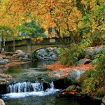 Things to do in ashland oregon