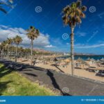 Playa del camison